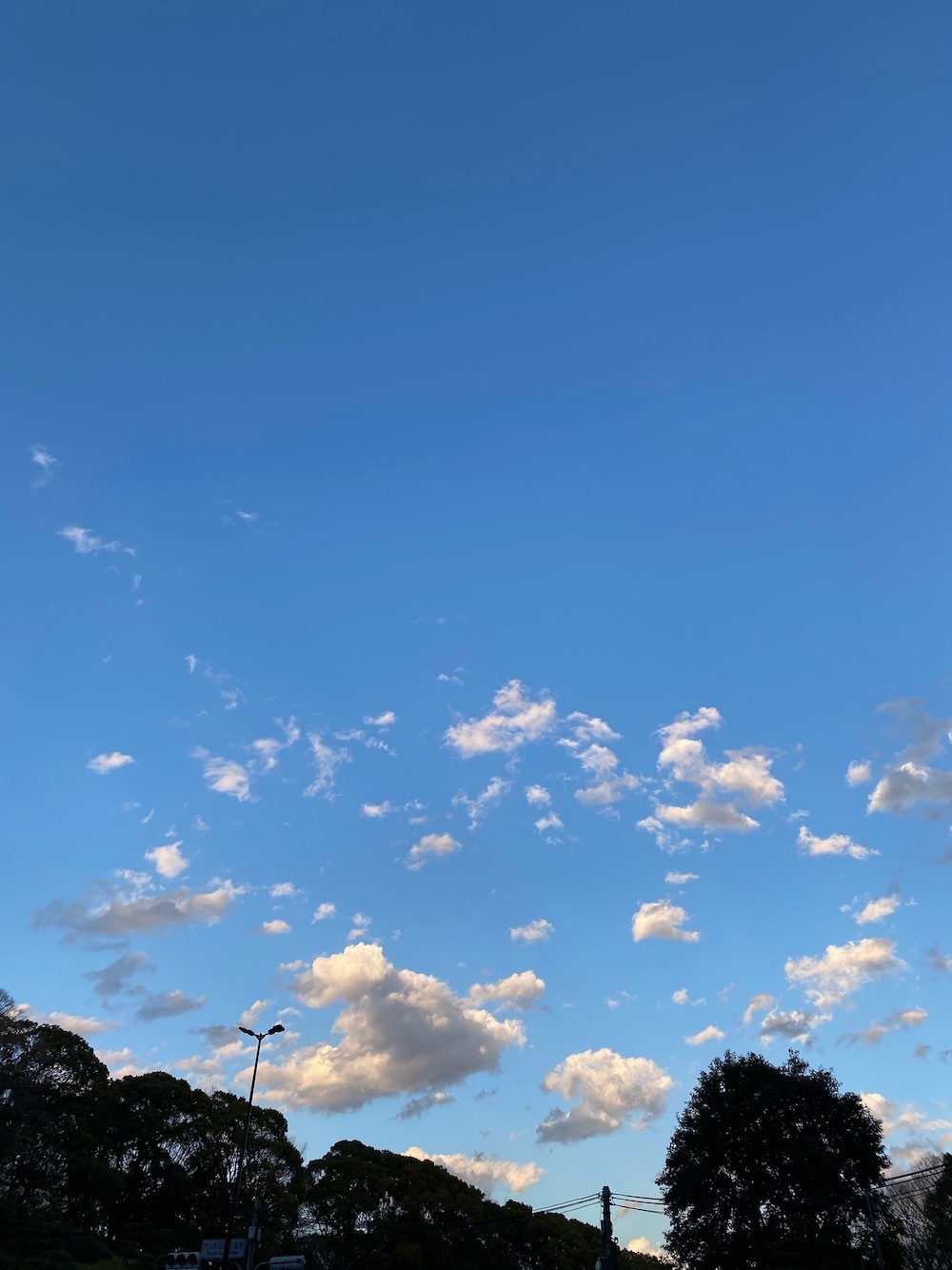 空は生きています_c0113755_16400674.jpeg
