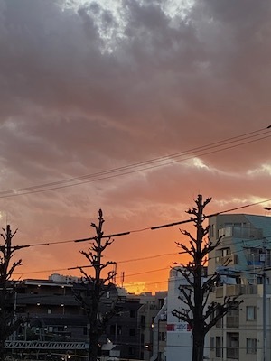 空は生きています_c0113755_16400684.jpeg