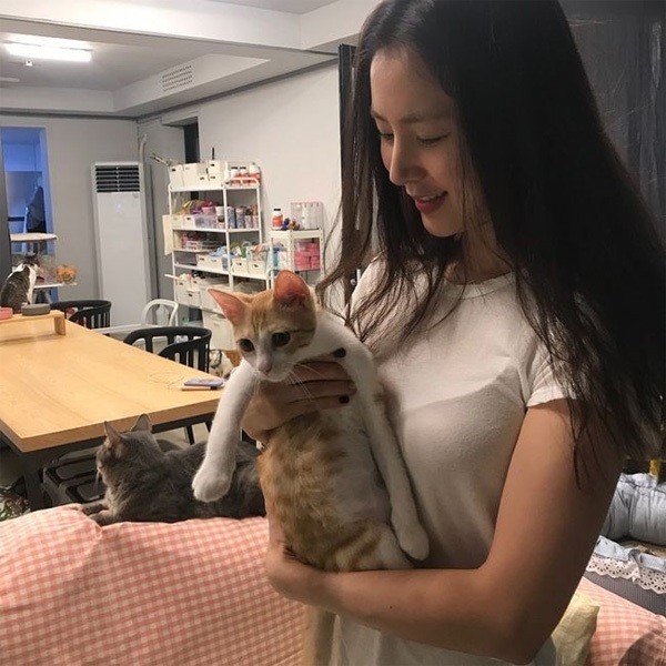 絶世の美女ハン・チェア 卒業アルバム、結婚相手は・・・第一子誕生!実はお嬢 夫の事故 腕のタトゥが怖い_f0158064_03240141.jpg