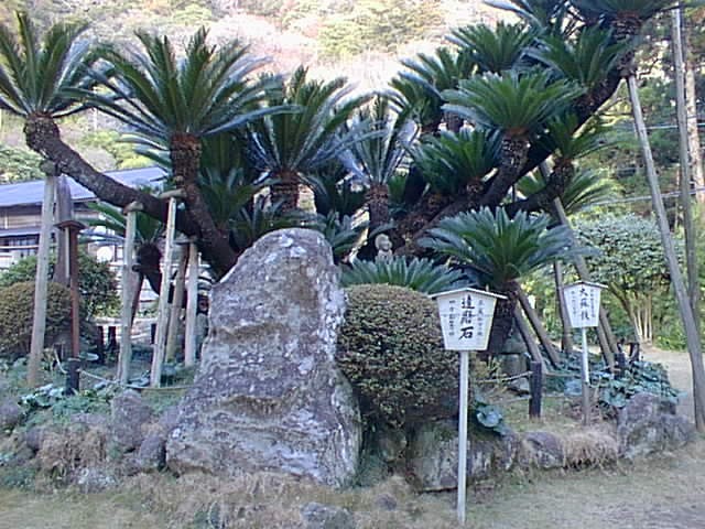 コロナを恐れて室内作業ばかり:謎の古写真について・疫神の詫び証文など・昔撮った写真・資料2020/3/1-7_b0116271_13555579.jpg