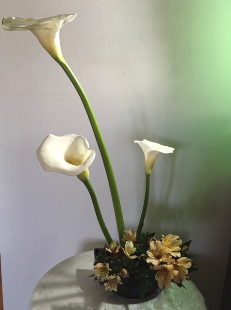 清楚なカラーの花_e0350971_11050723.jpg