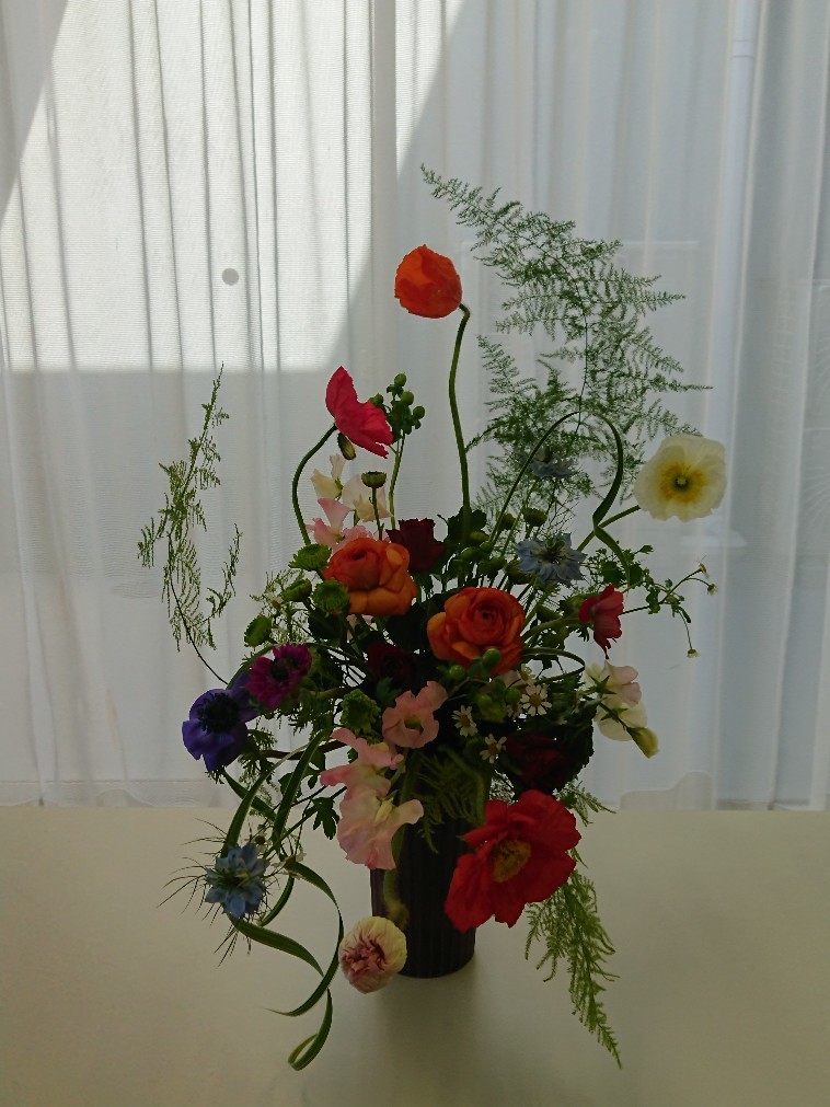 咲いた、咲いたセントポーリアの花が&#127926;……_e0376371_10215758.jpg