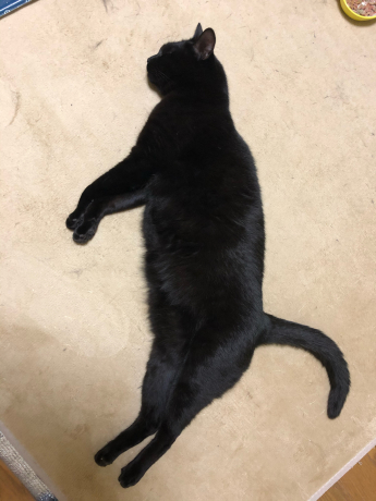 びょ~ん_e0355177_18515941.jpg