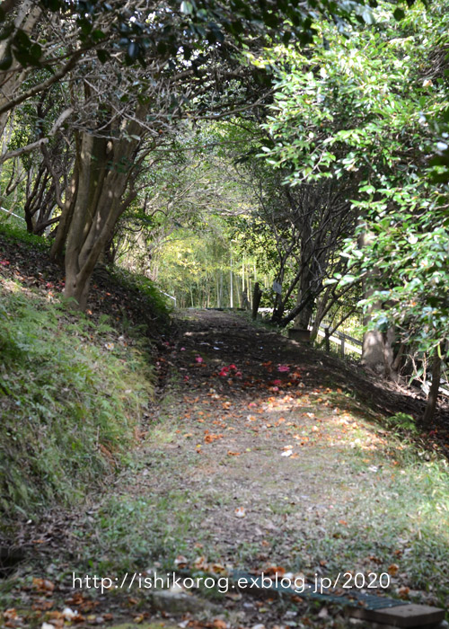 早春の半田山植物園-2_a0223379_0583689.jpg