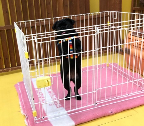 トレーニングブログ_f0357682_18021616.jpeg