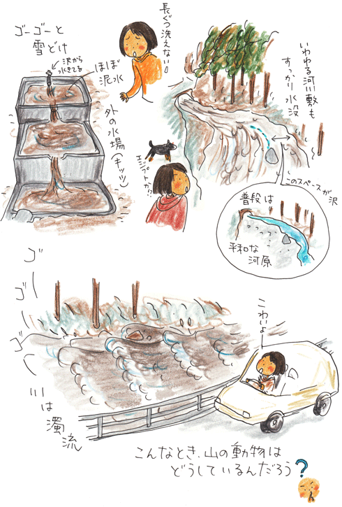 とっておきの場所~雪解けの彼ら編~_f0236291_21341225.gif