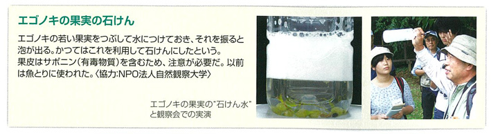 『樹木博士入門』と自然観察大学の関係(3)_d0163696_17510693.jpg