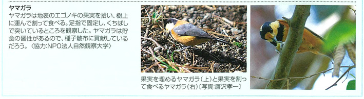 『樹木博士入門』と自然観察大学の関係(3)_d0163696_17513977.jpg