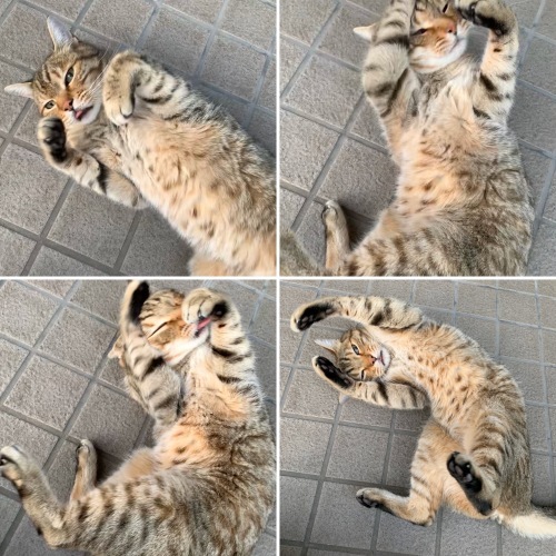 今年の初めまして_e0358096_21303834.jpeg