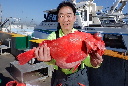 アコウダイ対決_e0077899_818382.jpg