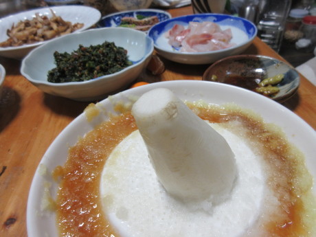 あまい大根おろしなど_a0203003_20135204.jpg