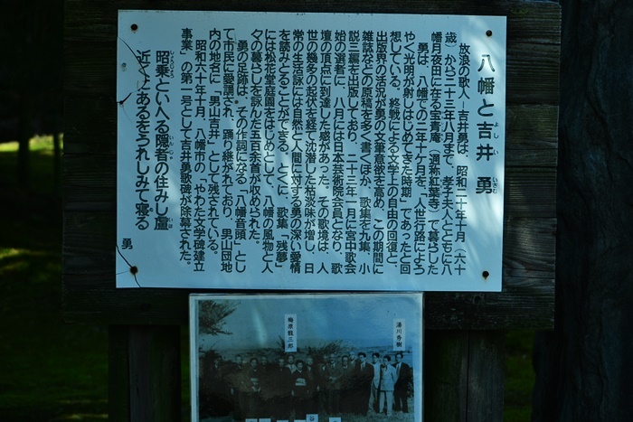 松花堂庭園(Ⅱ) 椿園_a0240403_23250105.jpg