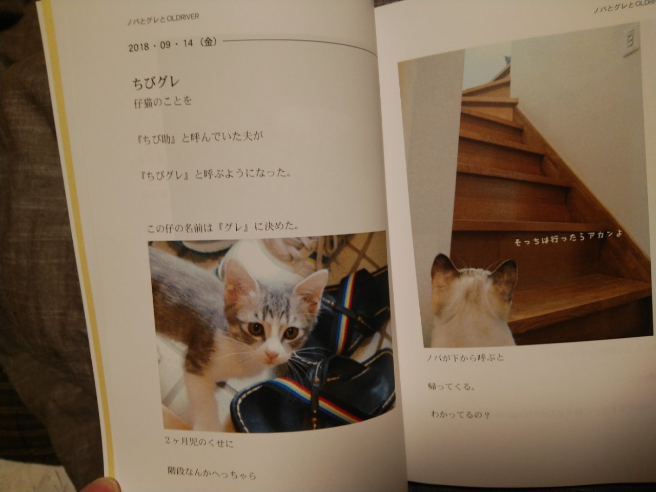 コロナ終息の願い_f0255704_23305546.jpg