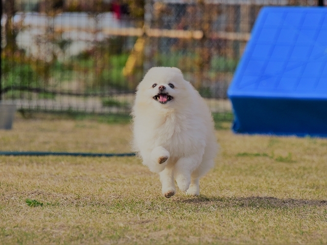 急な休み_d0360206_00044428.jpg