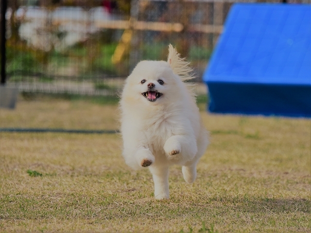 急な休み_d0360206_00044805.jpg