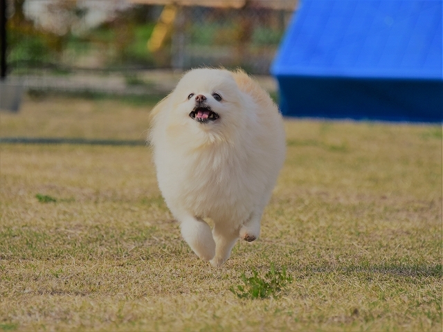 急な休み_d0360206_00045204.jpg