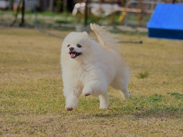 急な休み_d0360206_00050081.jpg