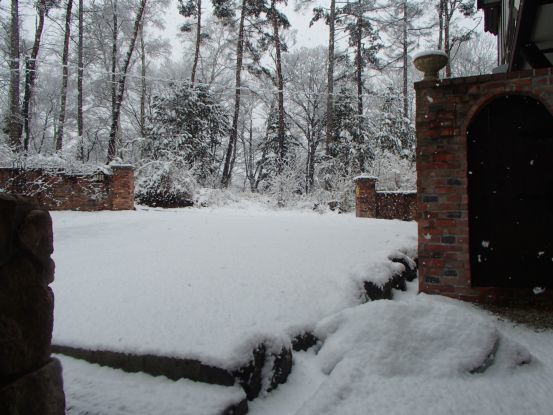名残り雪_f0064906_10491902.jpg