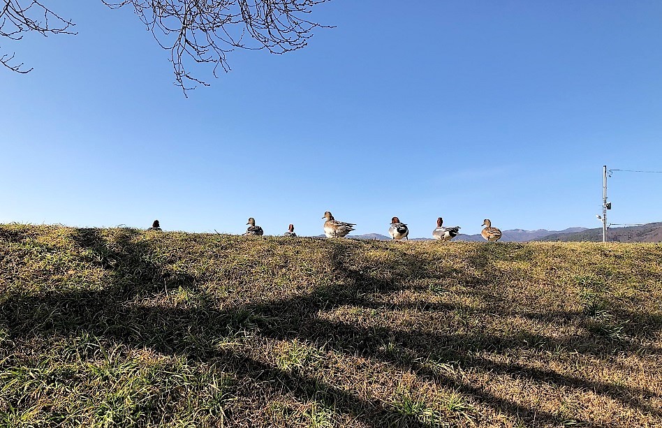 友人と上諏訪温泉　湖泉荘へ②_f0208112_10064293.jpg