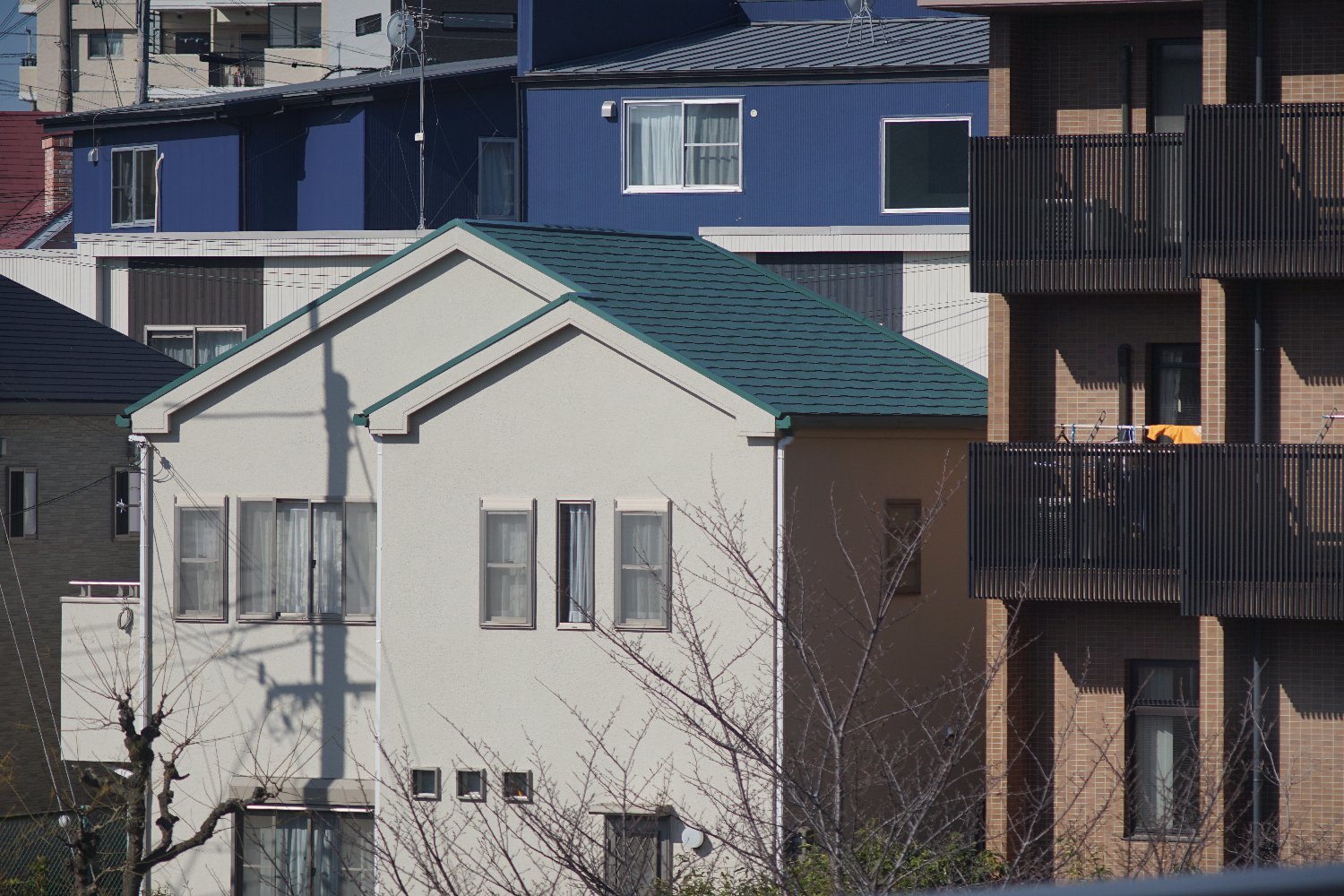 RE オートトプコール 200mm F5.6 で_b0069128_10362509.jpg