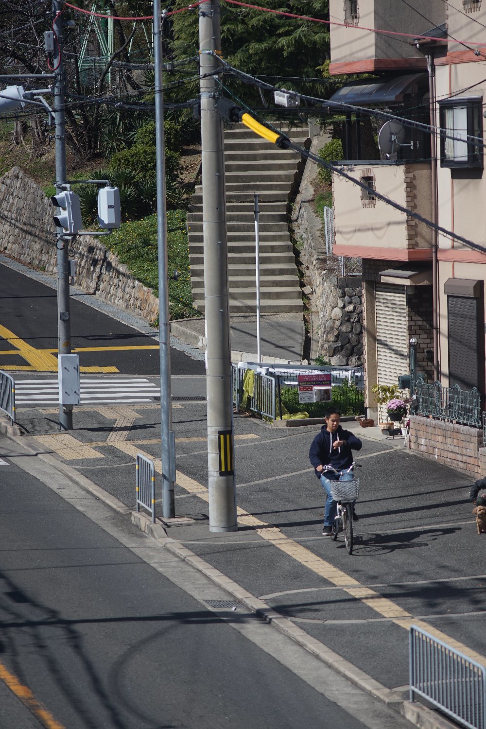 RE オートトプコール 200mm F5.6 で_b0069128_10364237.jpg