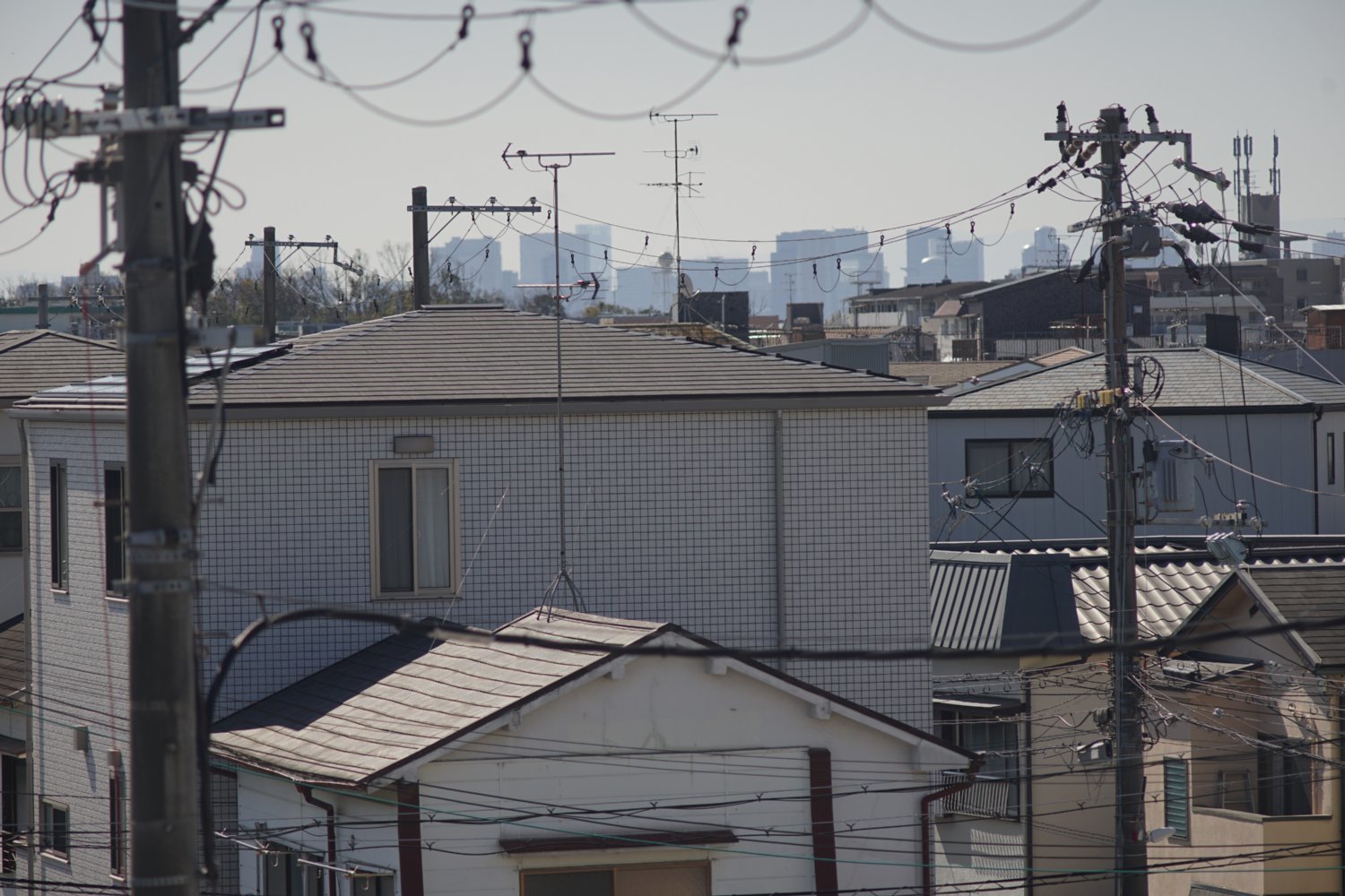 RE オートトプコール 200mm F5.6 で_b0069128_10365697.jpg