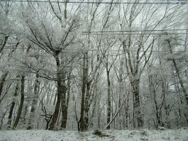御代田・飯 さかい ＊ 雪景色のホワイトデー♪_f0236260_22441877.jpg