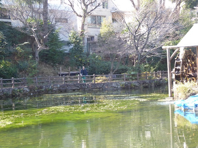 遅いランチは渋谷の老舗台湾料理 麗郷で 駒場公園からのぶらぶら散歩 ルソイの半バックパッカー旅