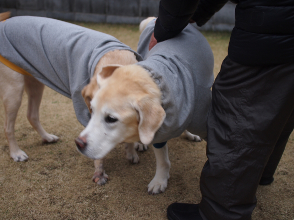 セミナー！ & ホワイトデー♡ & 桜の開花宣言♪_c0028792_19382720.jpg