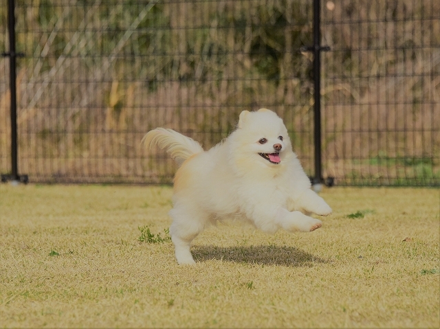 ひごろのおこない?_d0360206_23181269.jpg