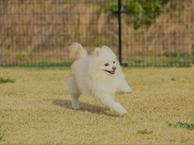 ひごろのおこない?_d0360206_23181629.jpg