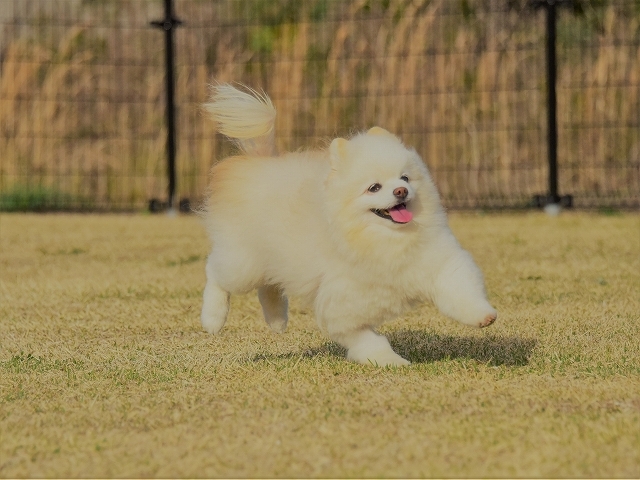 ひごろのおこない?_d0360206_23182003.jpg