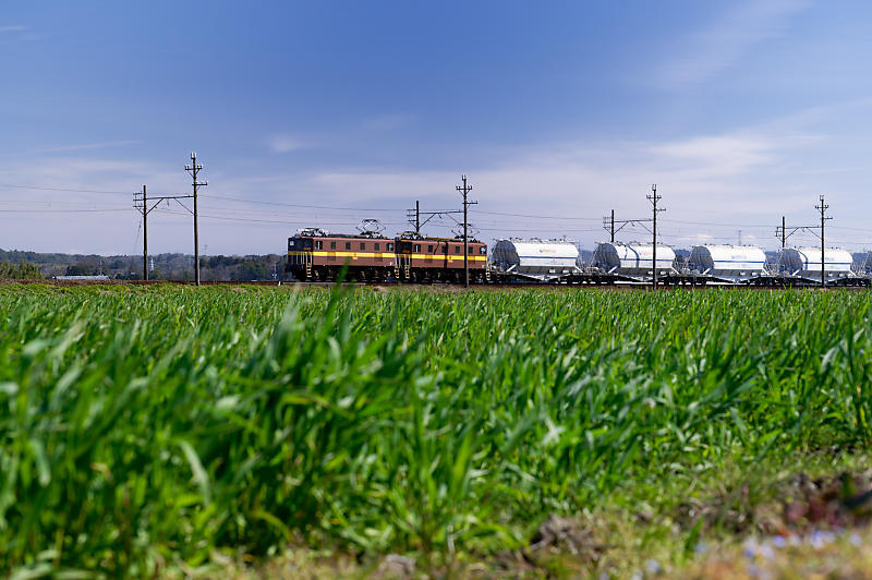 三重県いなべ市遠征・其の三 三岐鉄道_f0032011_16353243.jpg