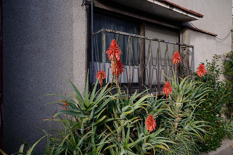 町角寸景_f0032011_18125893.jpg