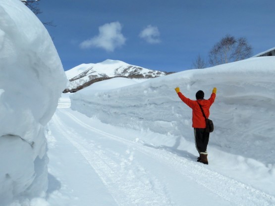 新型コロナと少雪!_d0070814_15450506.jpg