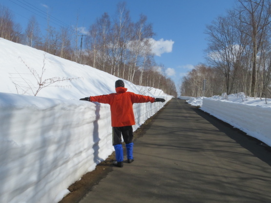 新型コロナと少雪!_d0070814_15454805.jpg