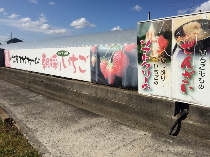 瀬戸は日暮れて~♪_e0036217_22300461.jpg