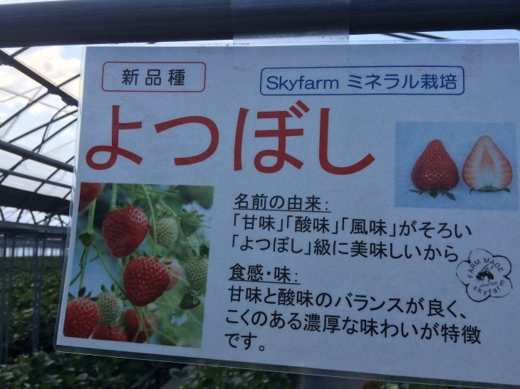 瀬戸は日暮れて~♪_e0036217_22312938.jpg