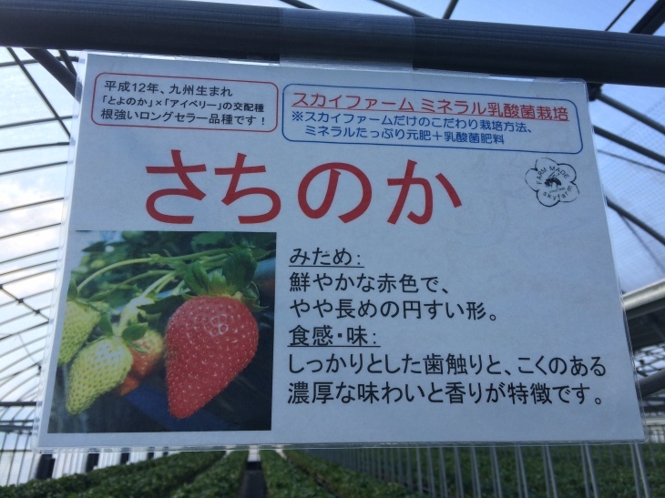 瀬戸は日暮れて~♪_e0036217_22314235.jpg