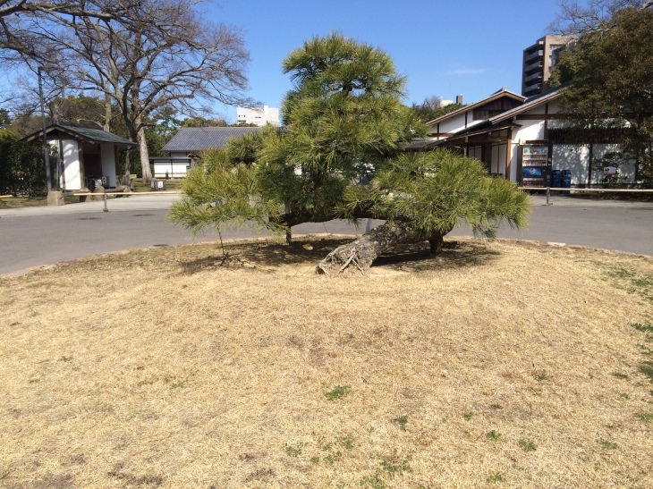 瀬戸は日暮れて~♪_e0036217_22321287.jpg