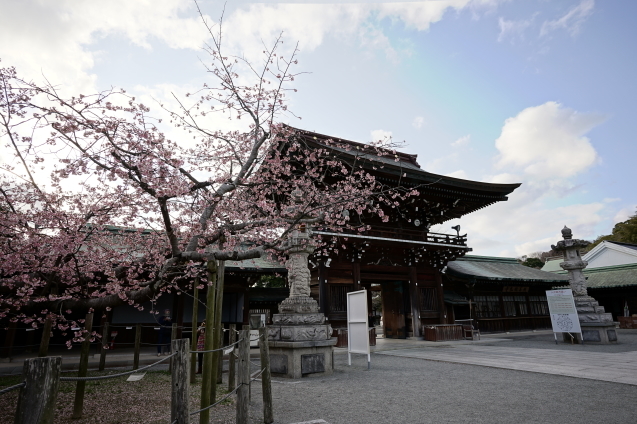 三寒四温_c0003723_18571480.jpg