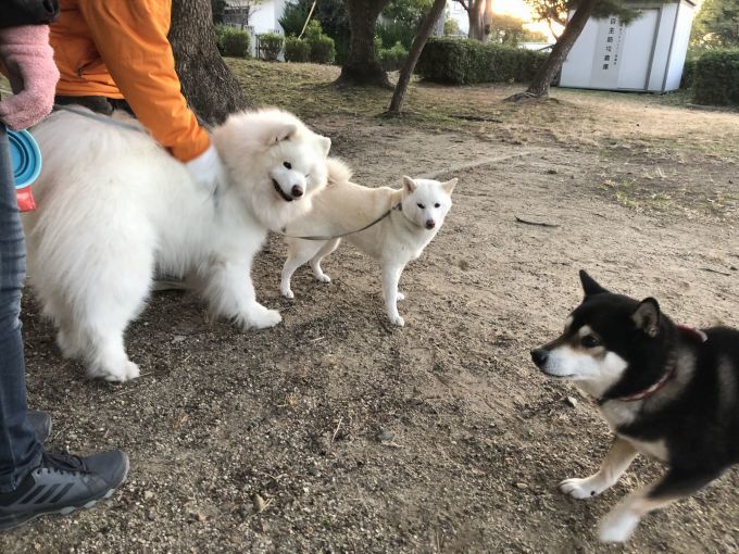 2020年1月後半 インスタ写真集_f0128542_23265472.jpg