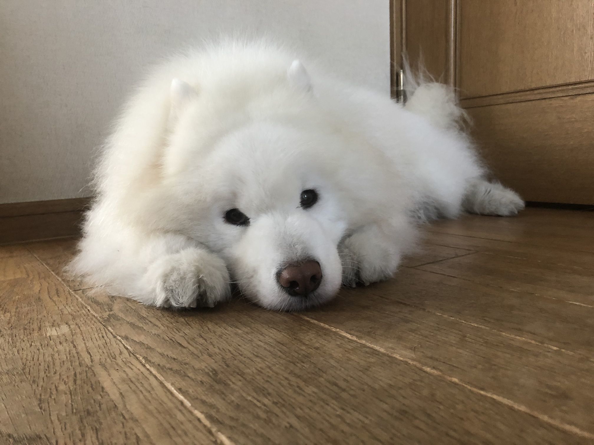 2020年1月後半 インスタ写真集_f0128542_23330661.jpg