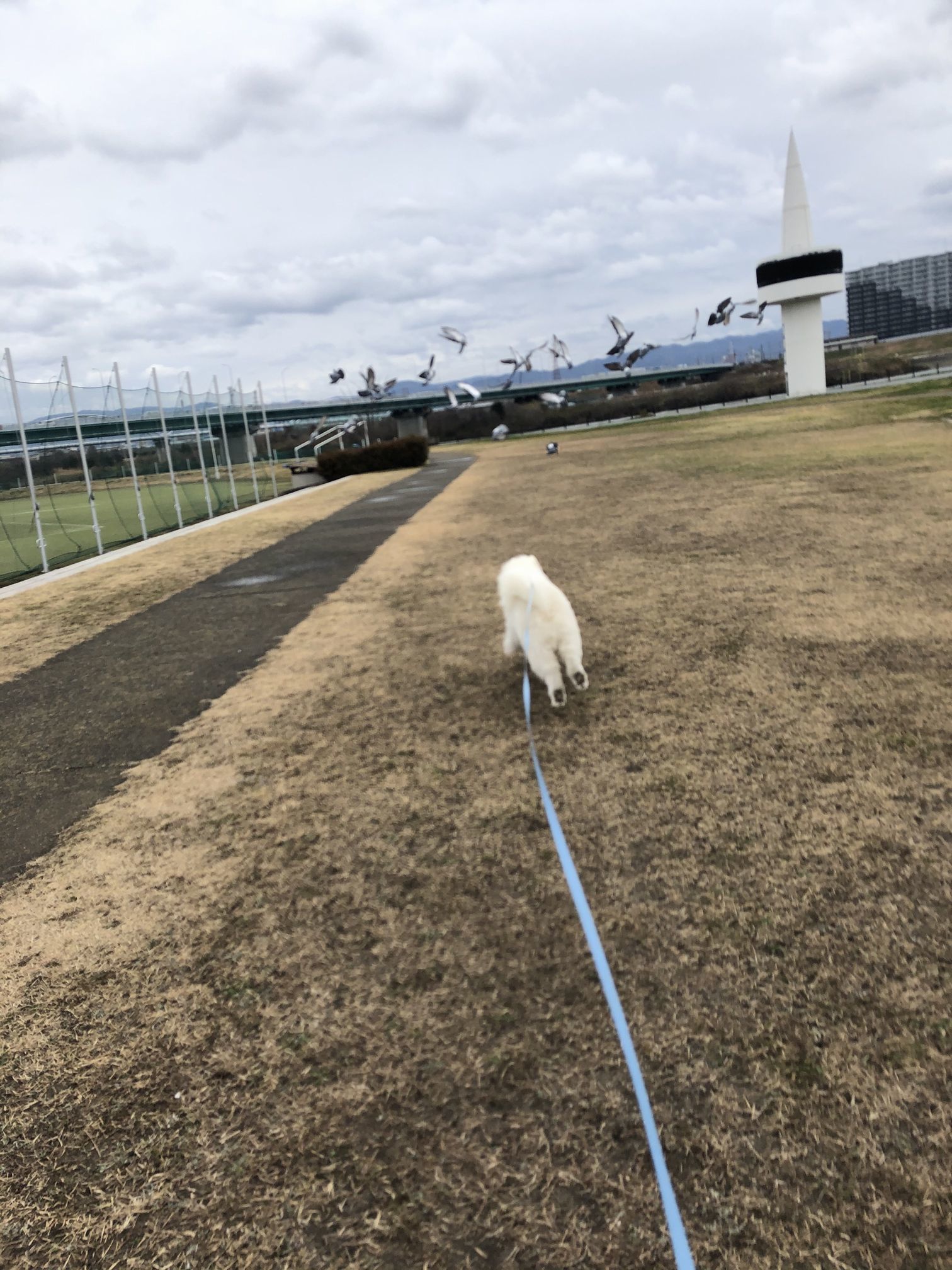 2020年1月後半 インスタ写真集_f0128542_23381272.jpg