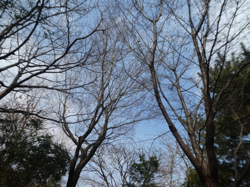 テーブルの解体&新設・・・うみべの森_c0108460_16261899.jpg