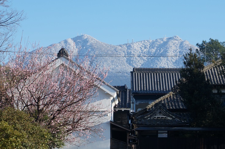 雪の筑波山とあんずの花_b0124462_09221498.jpg