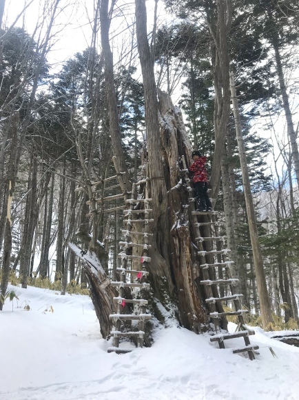 しぶとく遊ぶ_b0199097_12443137.jpg