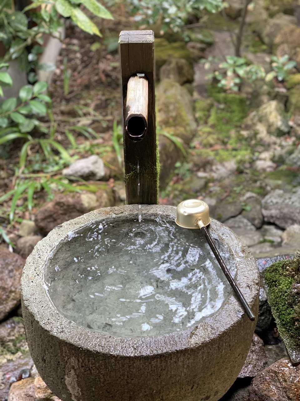 久しぶりの温泉_b0175400_14285925.jpg