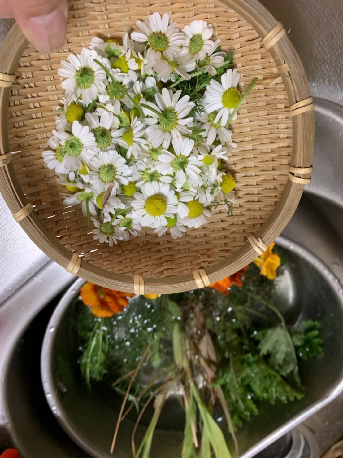 3月のお出かけⅡ_e0018604_17501875.jpg