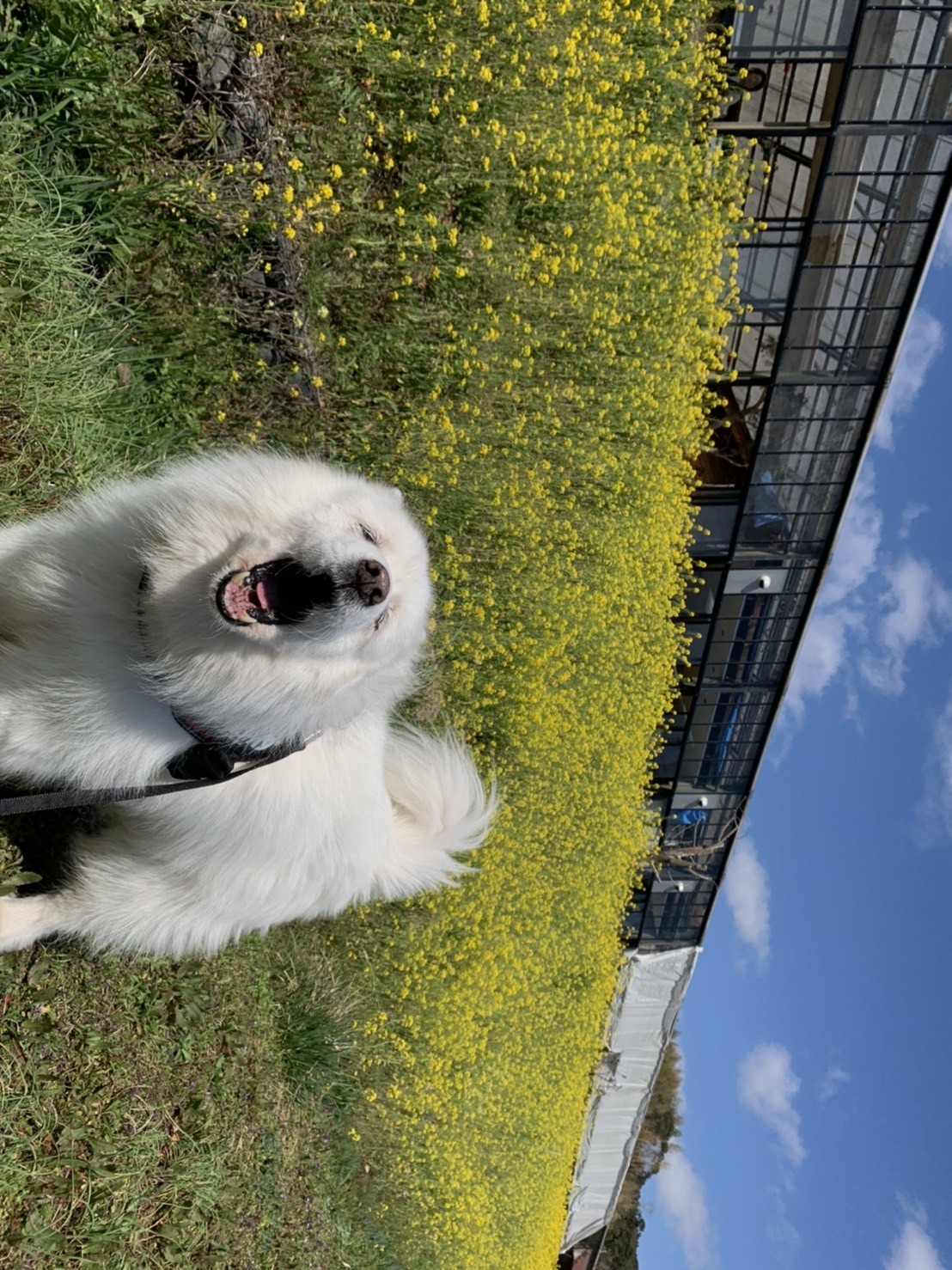 3月のお出かけⅡ_e0018604_17510805.jpg